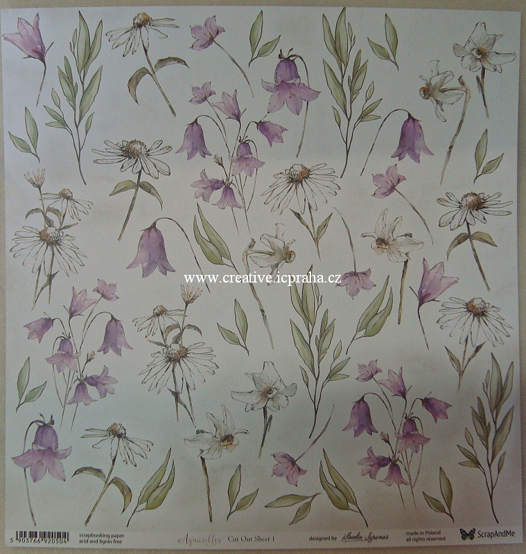 ScrapAndMe Aquar/Flowers 1 30.5x30.5cm 250g/m2